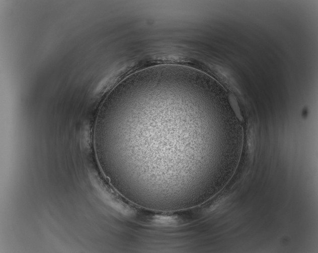 X0000116760457200912241146