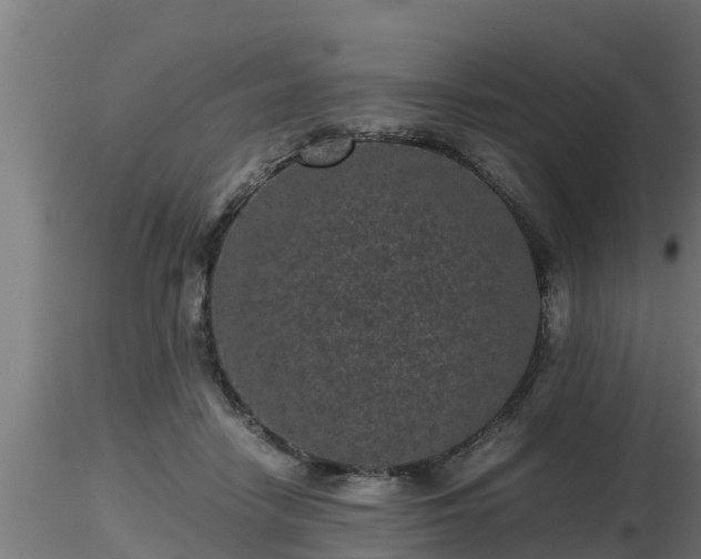 X0000116760458200912241146