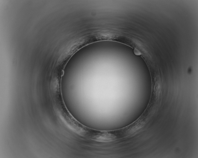 X0000116760459200912241146
