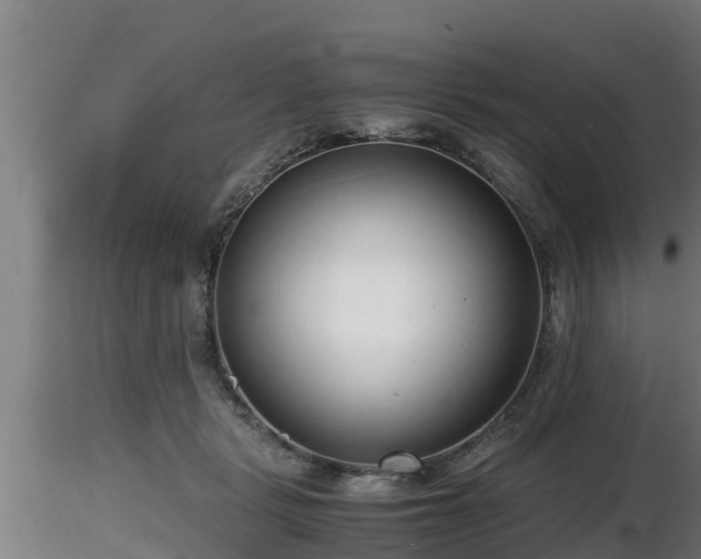 X0000116760461200912241146