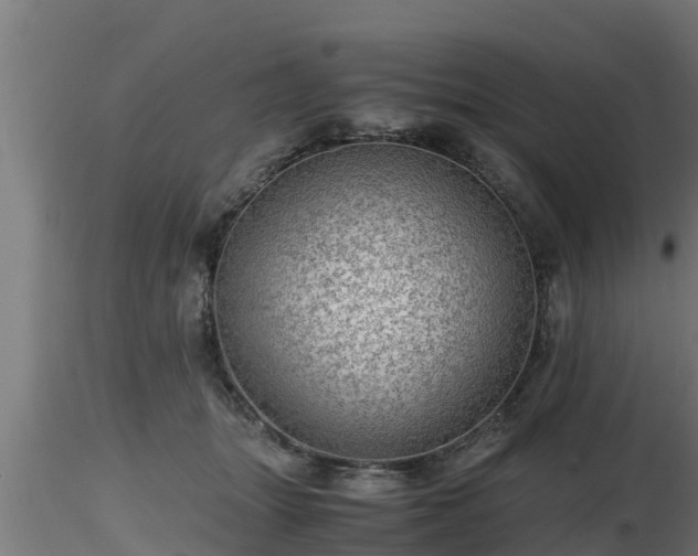 X0000116760463200912241146