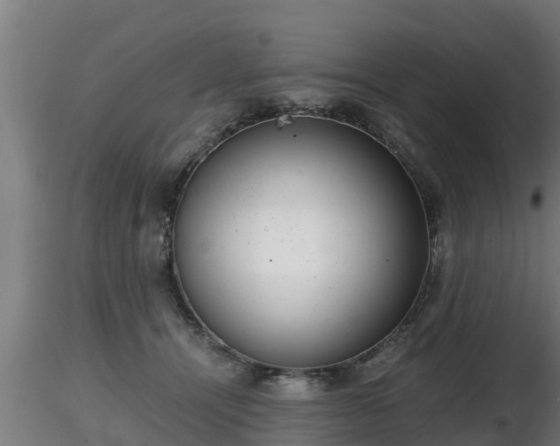 X0000116760464200912241146