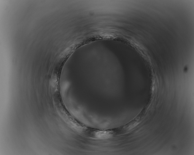 X0000116760465200912241146