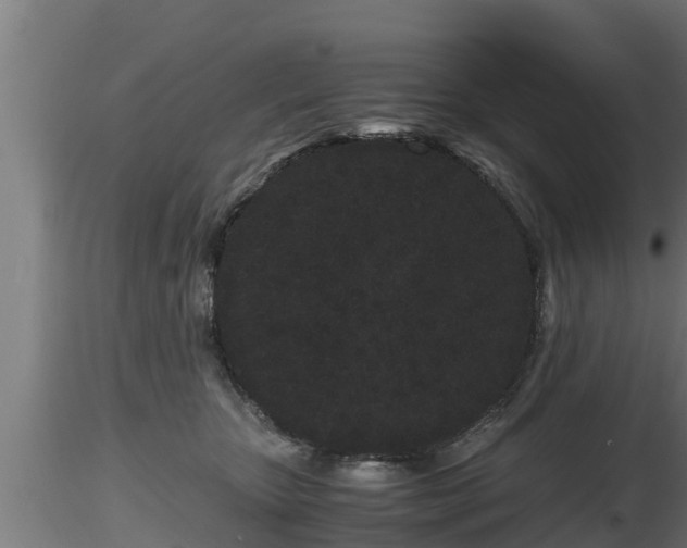X0000116760467200912241146