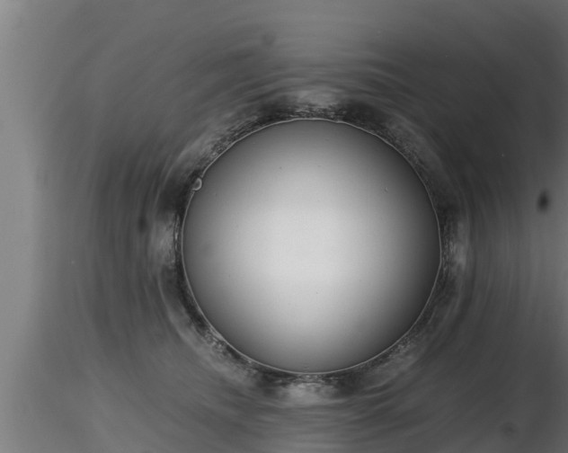 X0000116760468200912241146