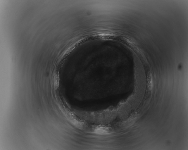X0000116760471200912241146