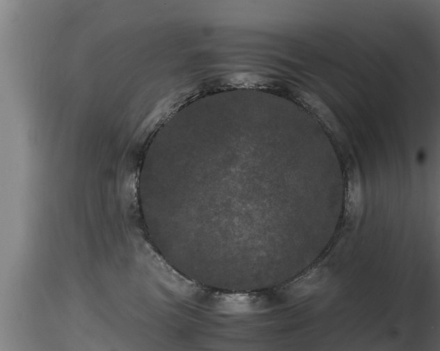 X0000116760473200912241146
