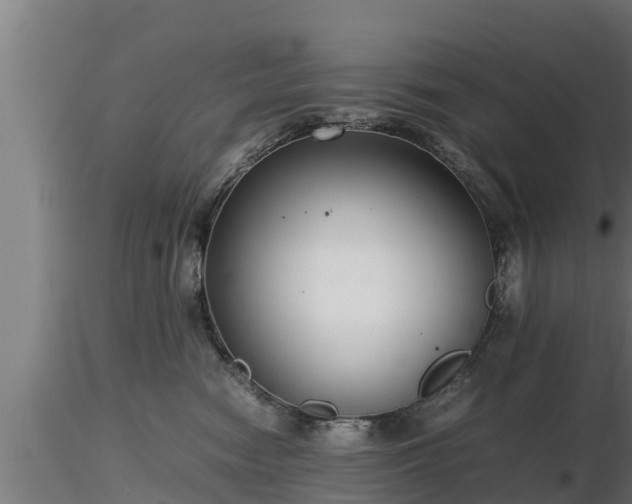 X0000116760474200912241146