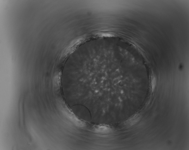 X0000116760475200912241146