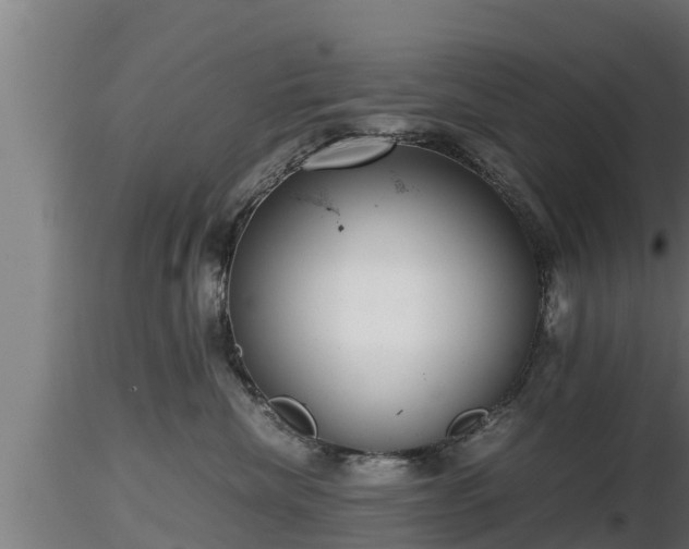 X0000116760476200912241146