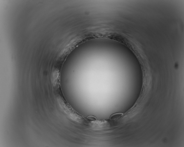 X0000116760480200912241146