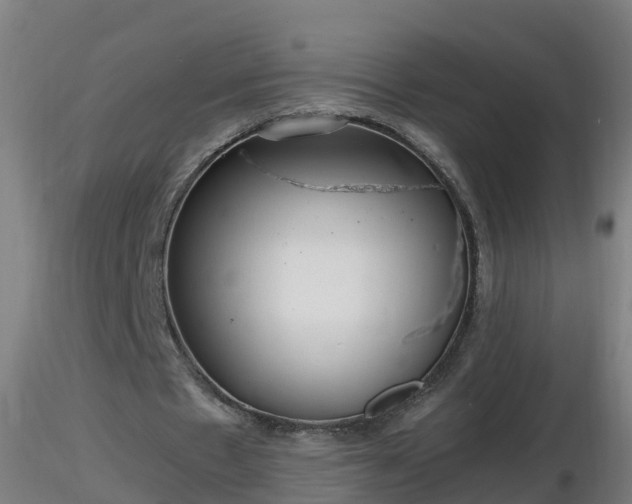 X0000116760481200912241146