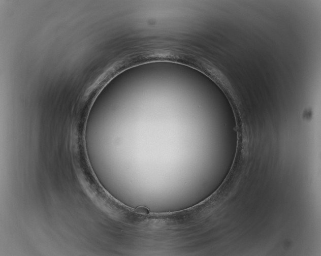 X0000116760482200912241146