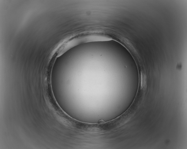 X0000116760483200912241145