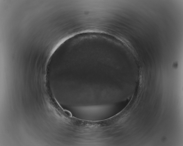 X0000116760484200912241145
