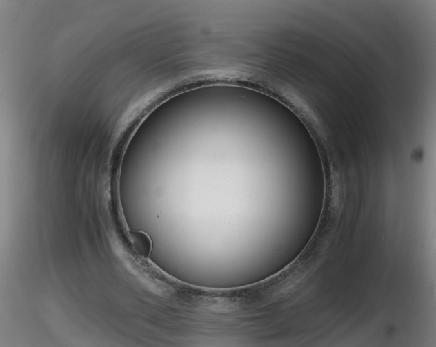 X0000116760486200912241145