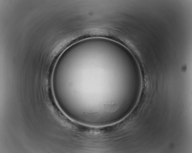 X0000116760487200912241145