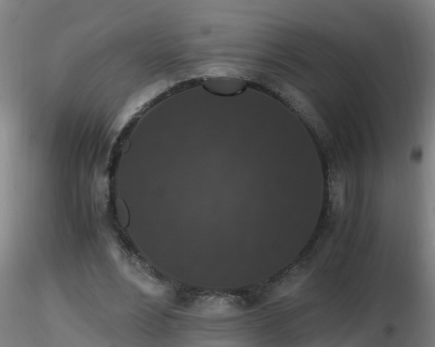 X0000116760488200912241145
