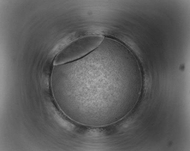 X0000116760489200912241145