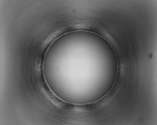 X0000116760490200912241145