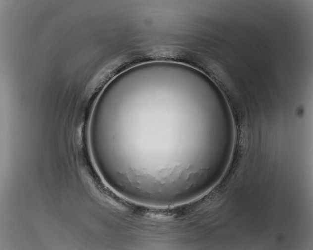 X0000116760491200912241145