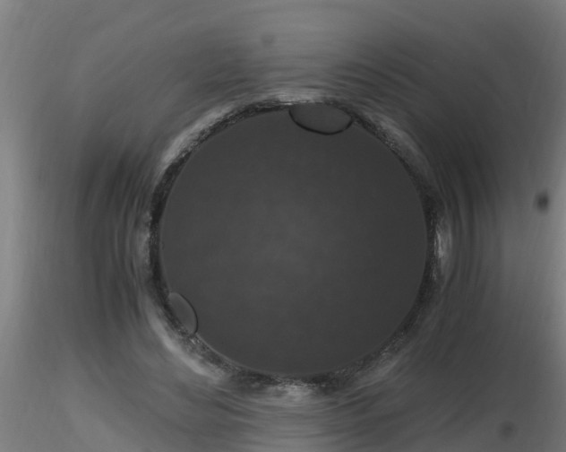 X0000116760492200912241145