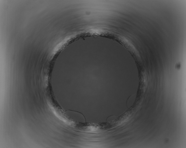 X0000116760496200912241145