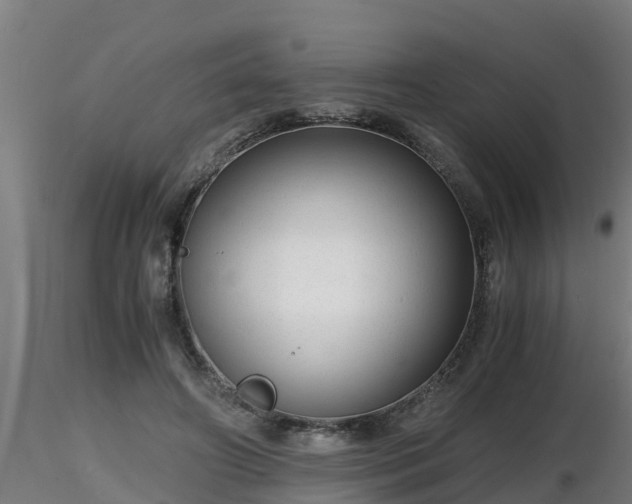 X0000116760498200912241145