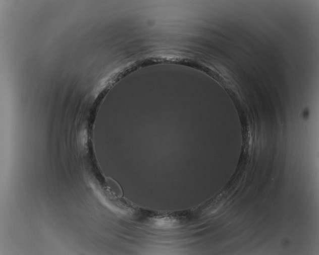 X0000116760500200912241145