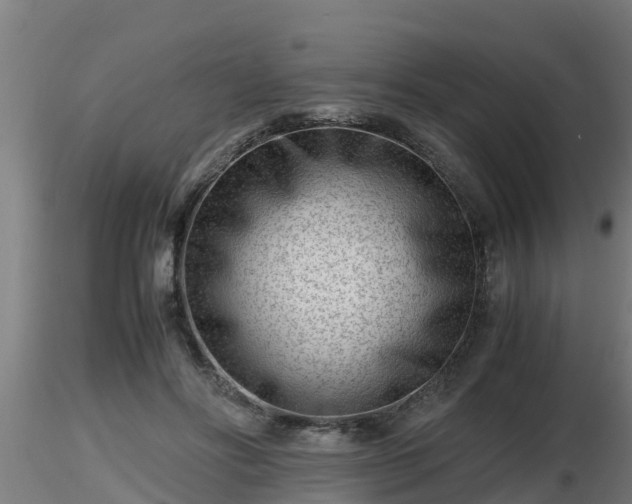X0000116760502200912241145