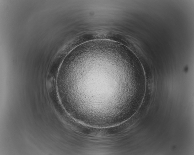 X0000116760503200912241145