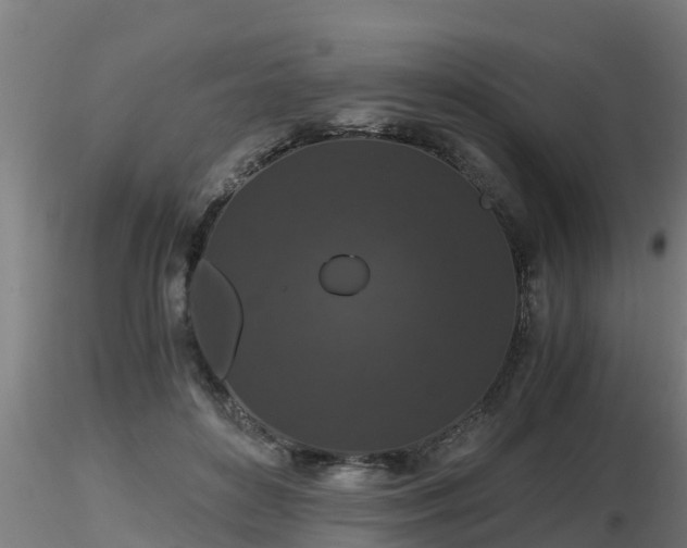 X0000116760504200912241145