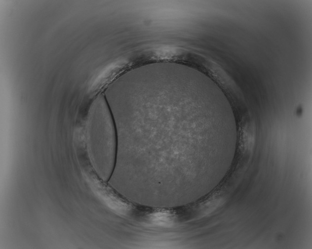X0000116760505200912241145