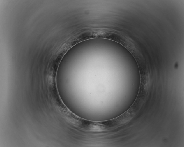X0000116760510200912241145