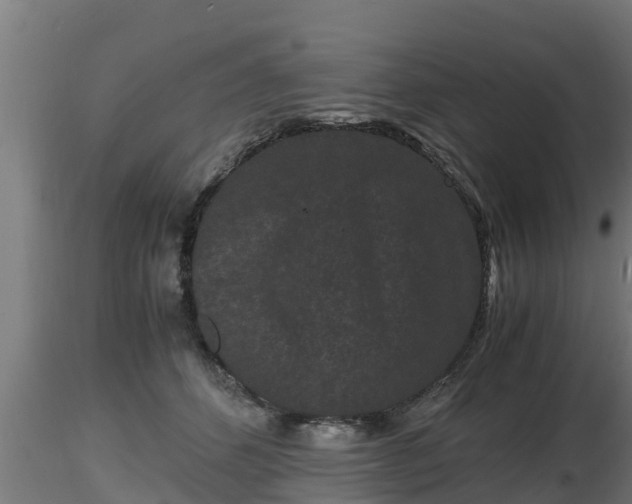 X0000116760512200912241145