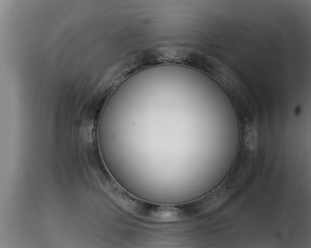 X0000116760514200912241145
