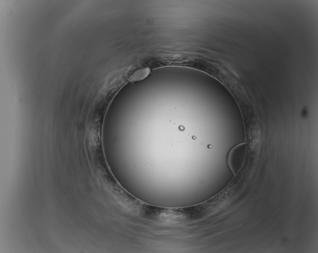 X0000116760515200912241145