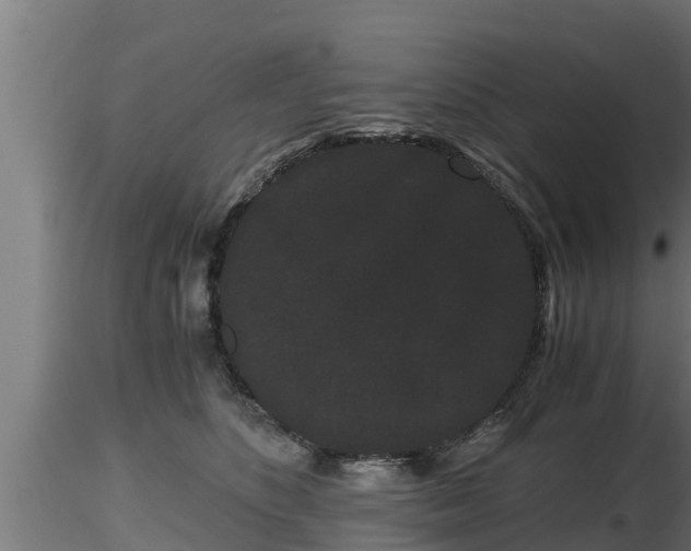 X0000116760516200912241145