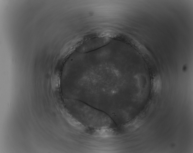 X0000116760517200912241145