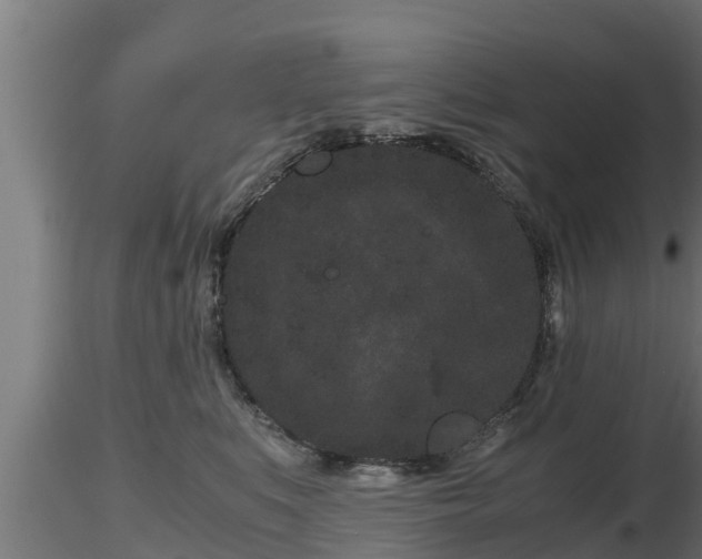 X0000116760519200912241145