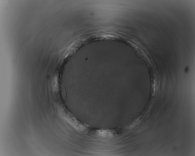 X0000116760520200912241145