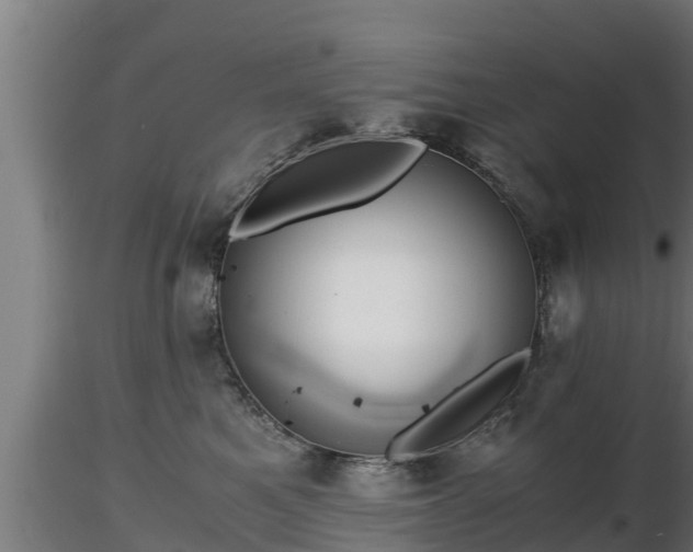 X0000116760521200912241145