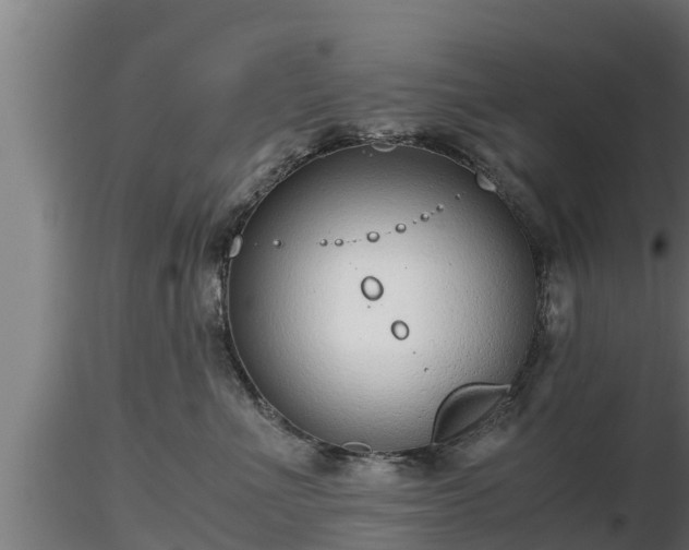 X0000116760523200912241145