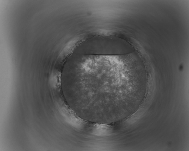 X0000116760528200912241145