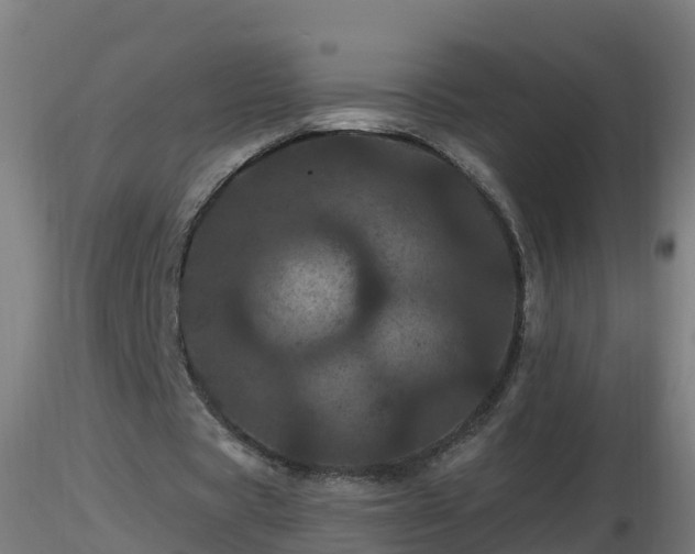 X0000116760529200912241144