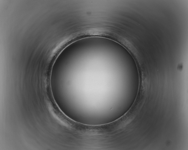 X0000116760530200912241144