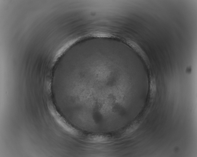 X0000116760533200912241144