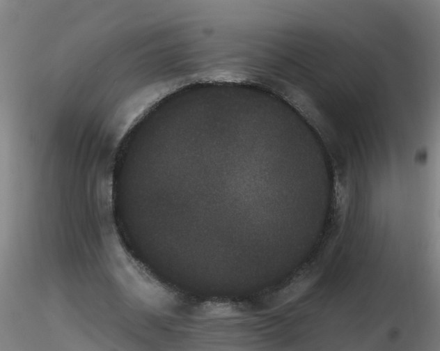 X0000116760534200912241144