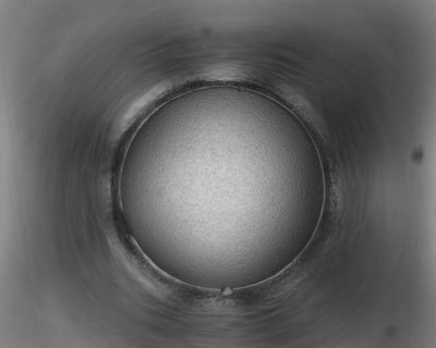 X0000116760535200912241144