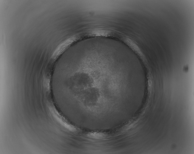 X0000116760537200912241144